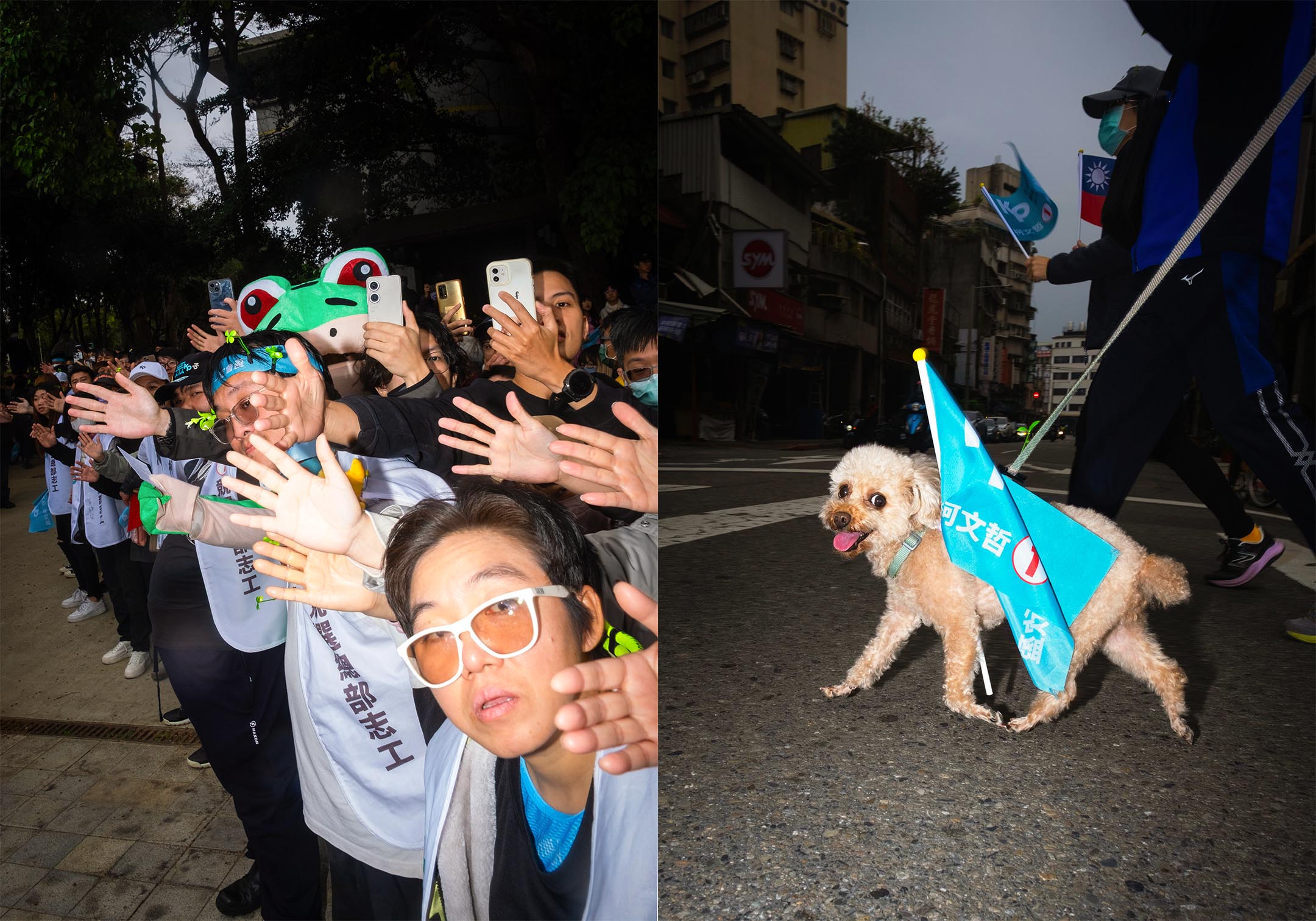 民众党的支持者(左),民众党支持者的狗(右)。摄:陈焯煇/端传媒