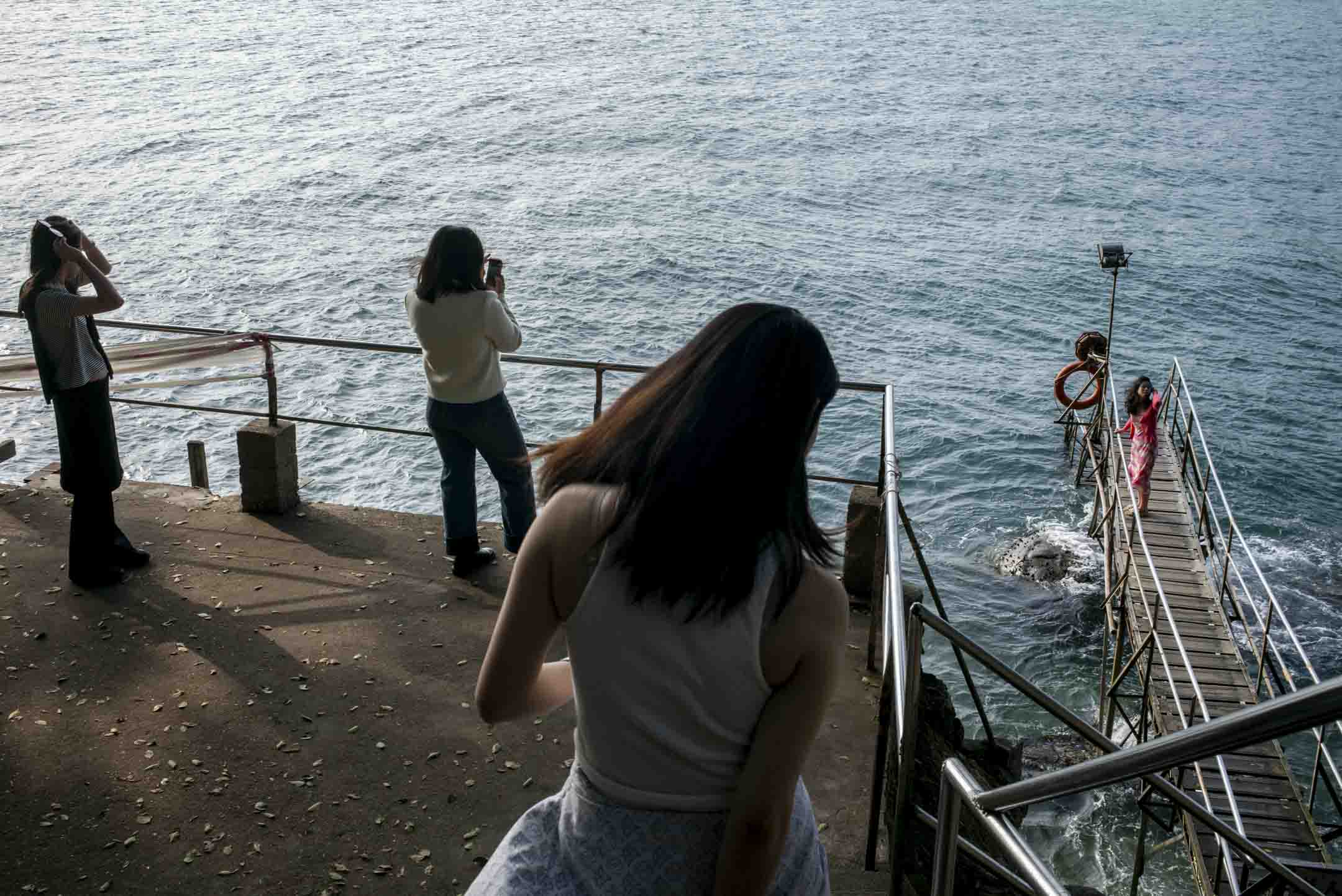 西环泳棚成为内地旅客打卡热点。 摄:林振东/端传媒
