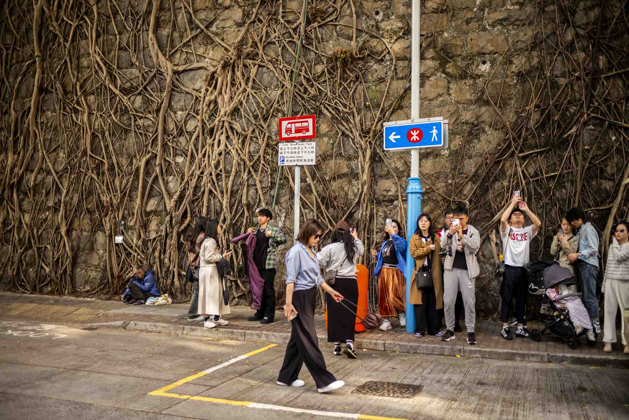 科士街树墙外打卡的游客。摄:林振东/端传媒