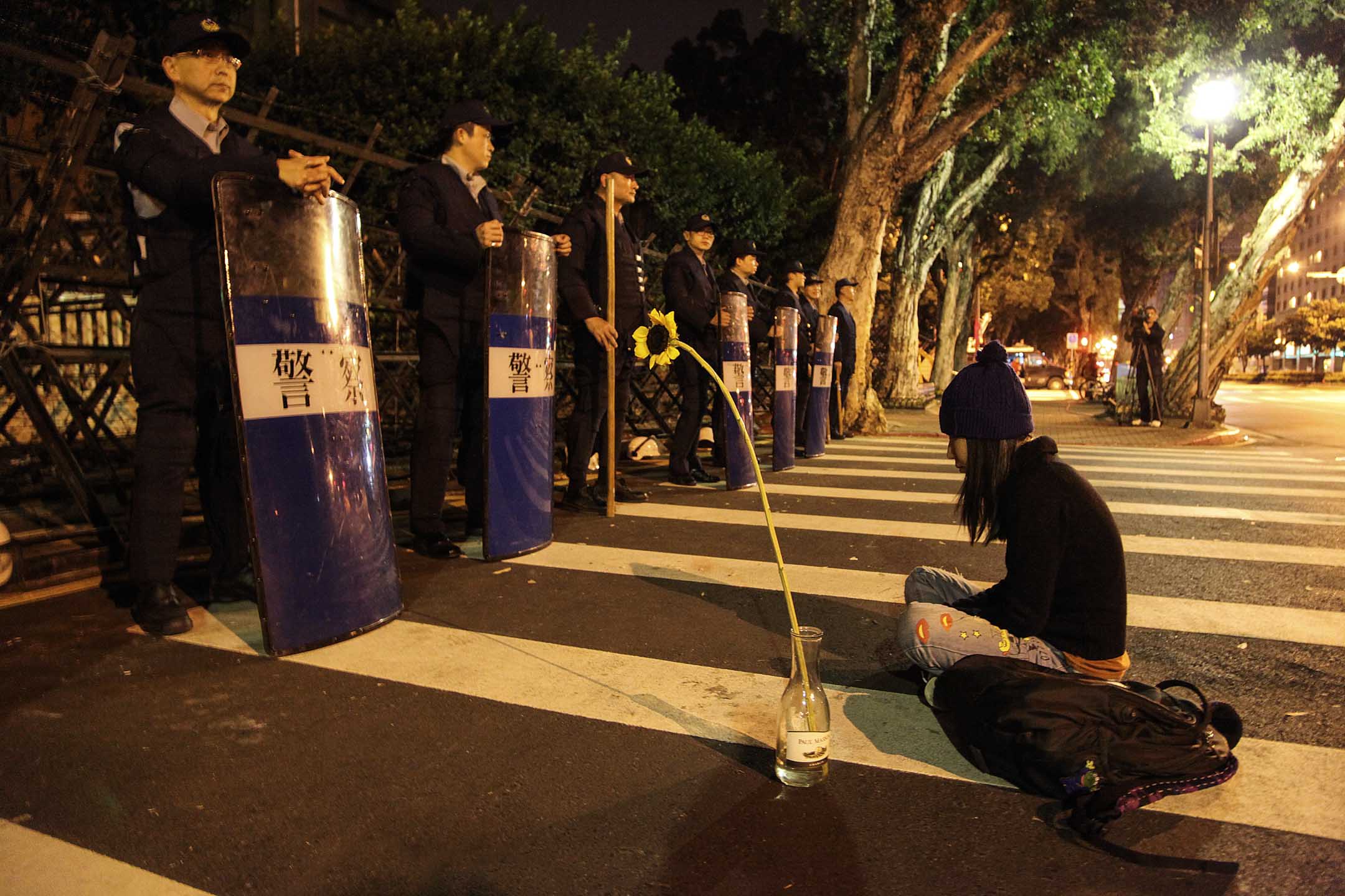 2014年3月24日,台北行政院前的警察防線,一名學生帶同向日葵坐在地上抗議。攝:CTK via AP/達志影像