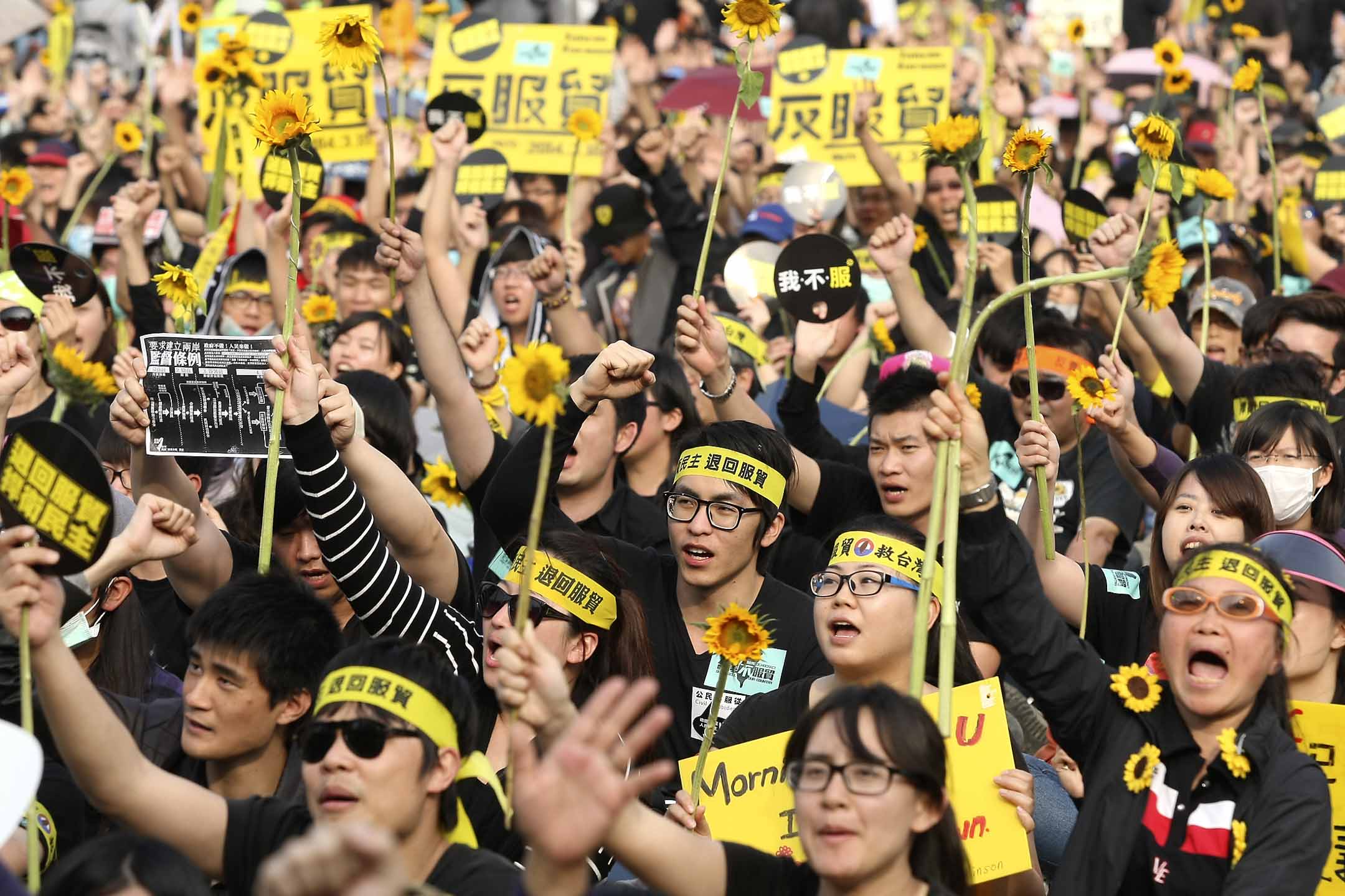 2014年3月30日,50萬示威者手持向日葵在台北總統府前高喊口號。攝:Toby Chang/Reuters/達志影像