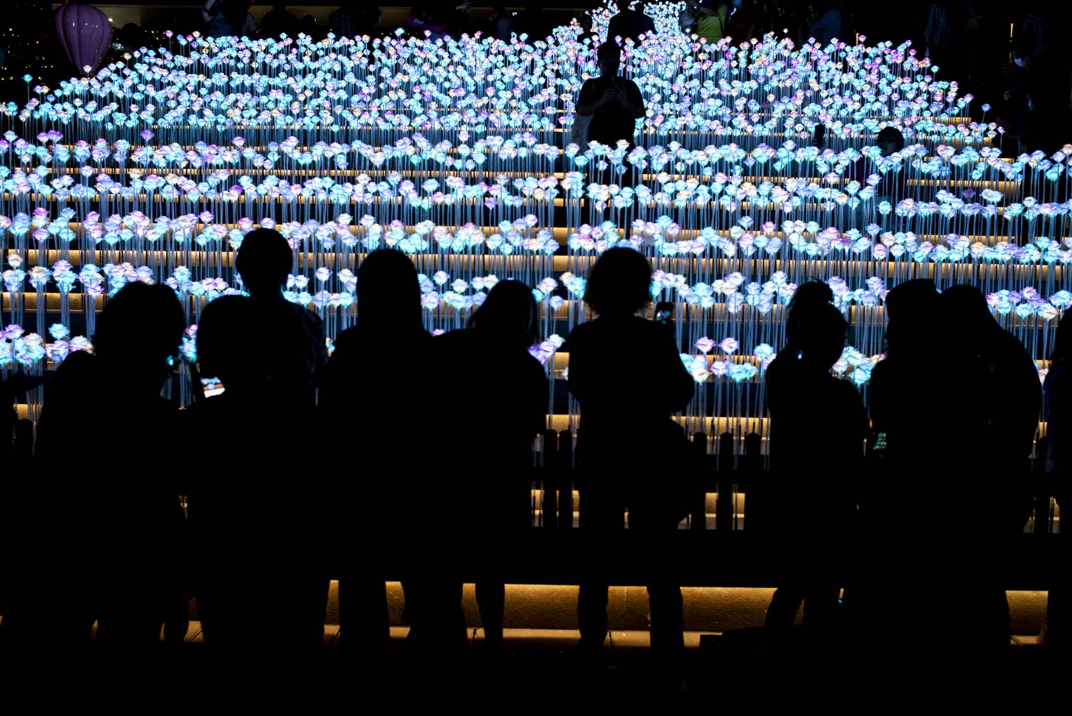 2024年3月28日,九龙湾东九文化中心 LED 花海。摄:林振东/端传媒