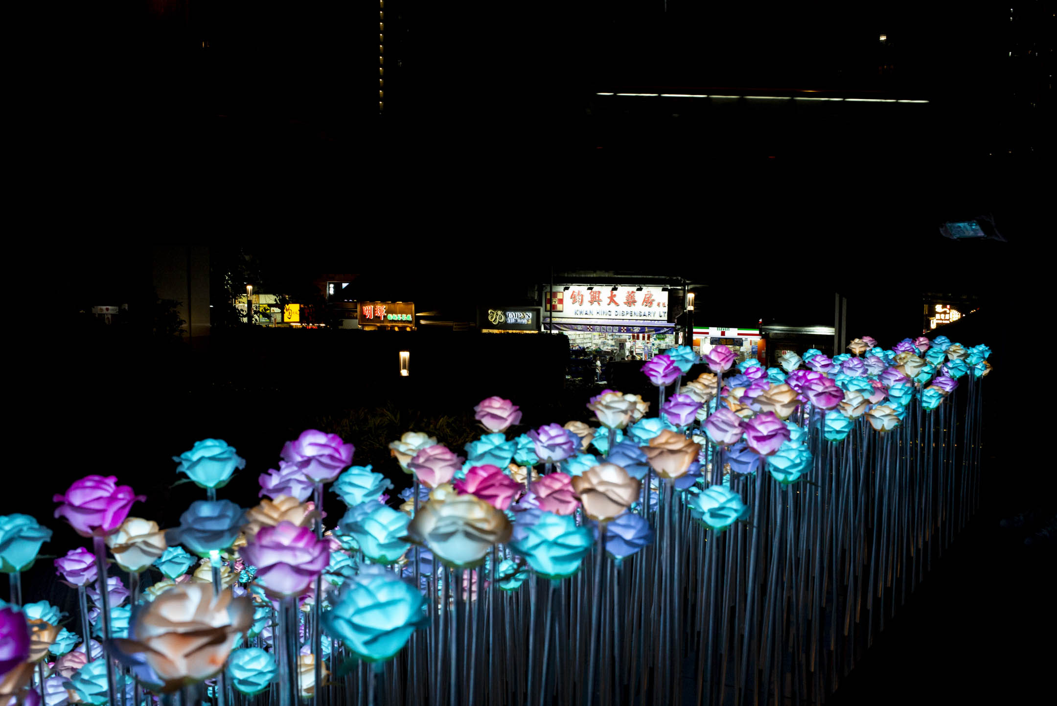 2024年3月28日,九龙湾东九文化中心 LED 花海。摄:林振东/端传媒