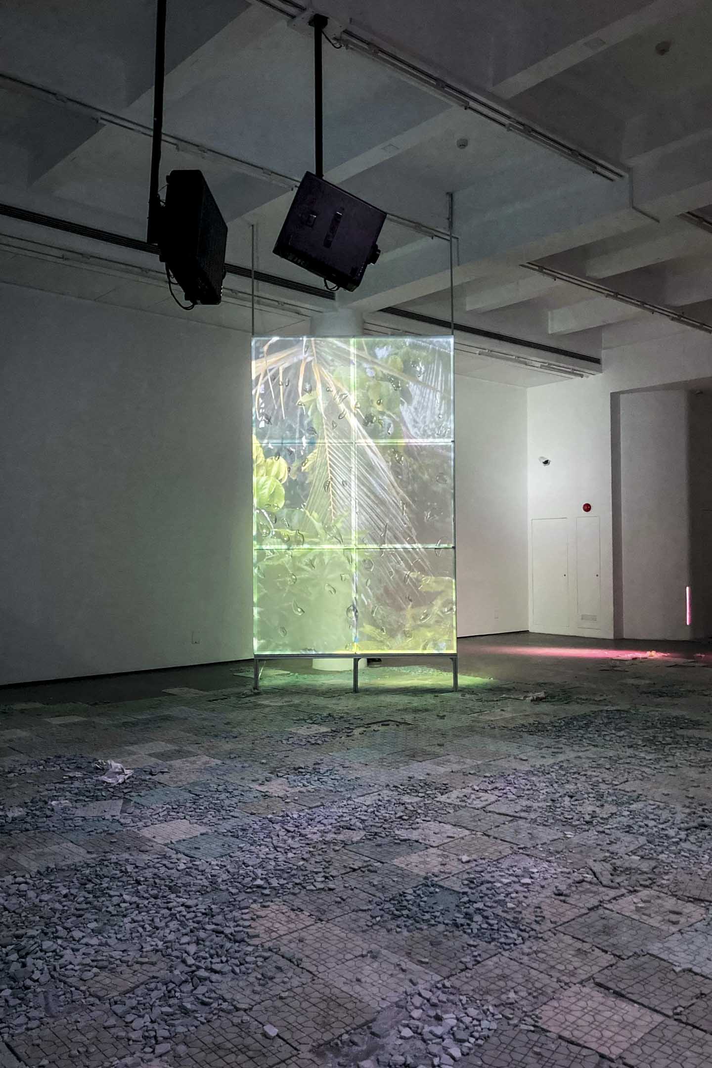 谭晶『旱梦滩』展览现场。摄影:郝伟凡