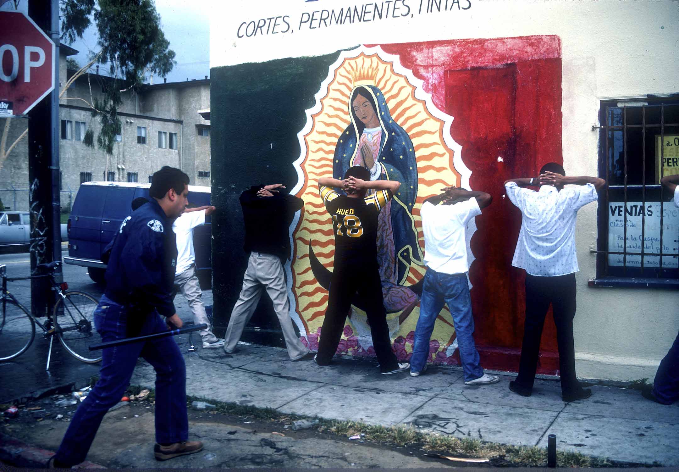1984年10月16日,加州洛杉磯警察局的一次搜查行動中,犯罪團夥成員被捕,搜查中發現了武器和毒品。 攝:Paul Harris/Getty Images