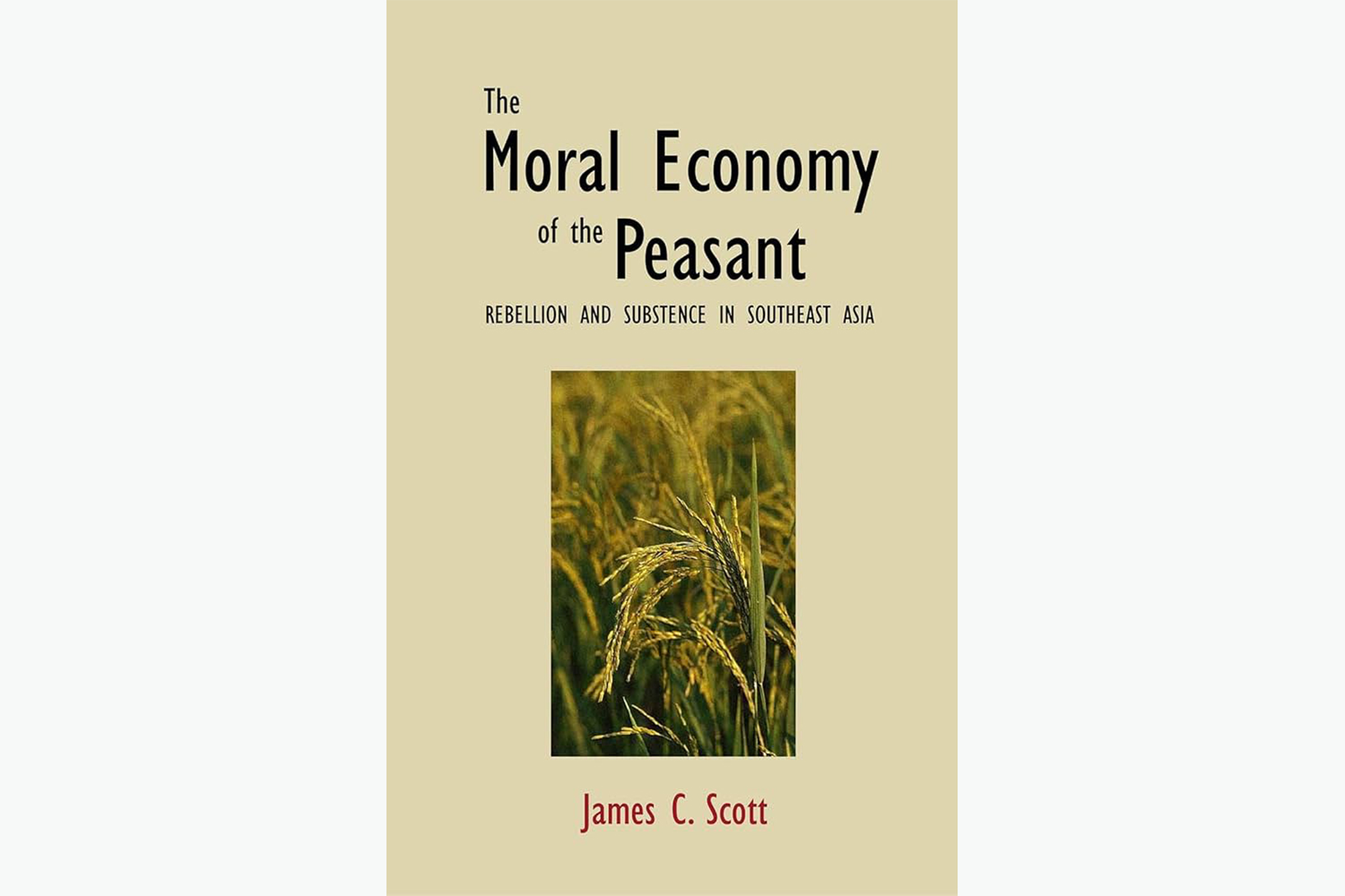 《农民的道德经济学》(Peasant Moral Economy: Southeast rebellion and survival)(1976)。图:网上图片