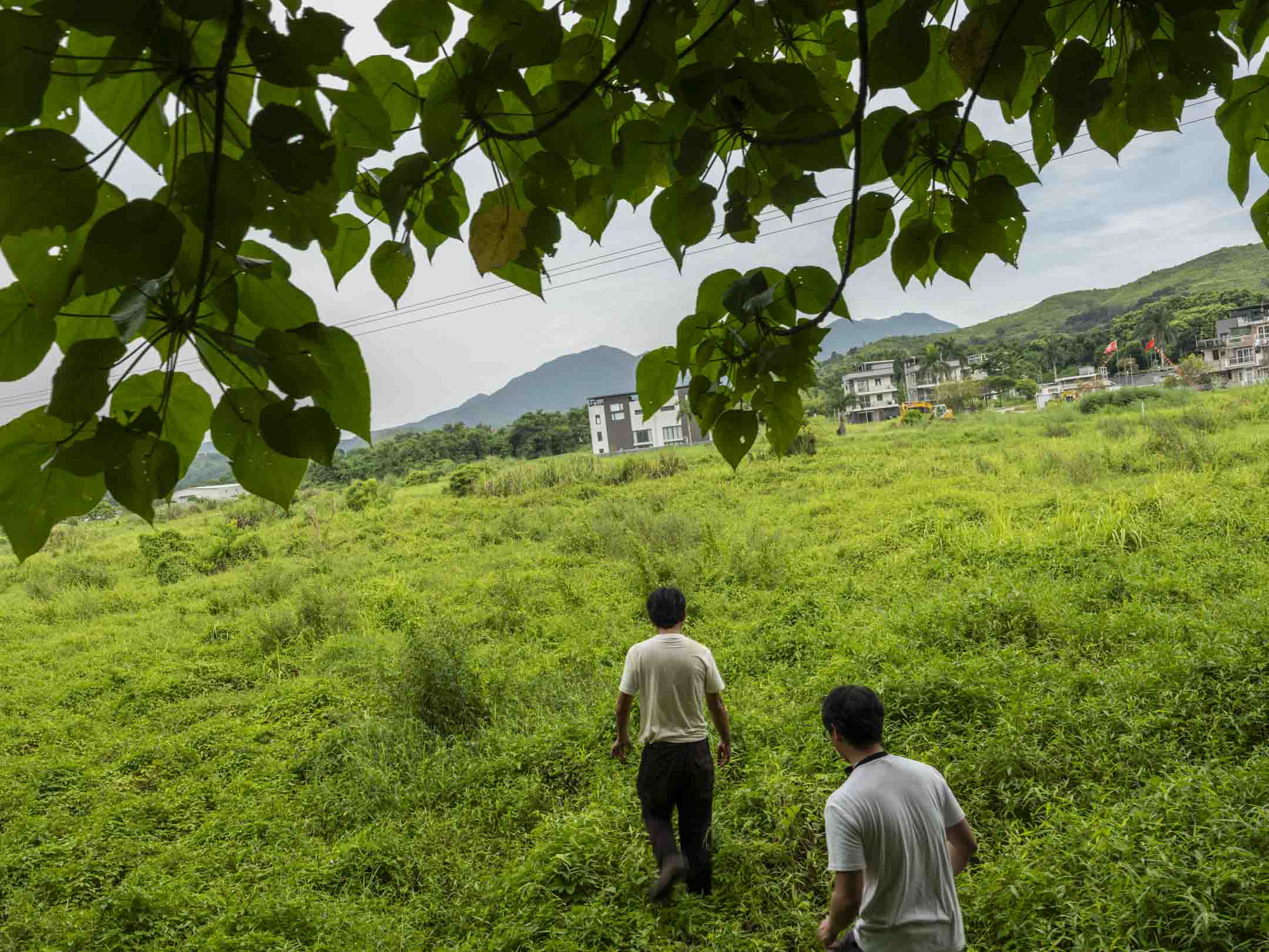 叶子林与陈剑青走在下山鸡乙的闲置农地上。摄:林振东/端传媒
