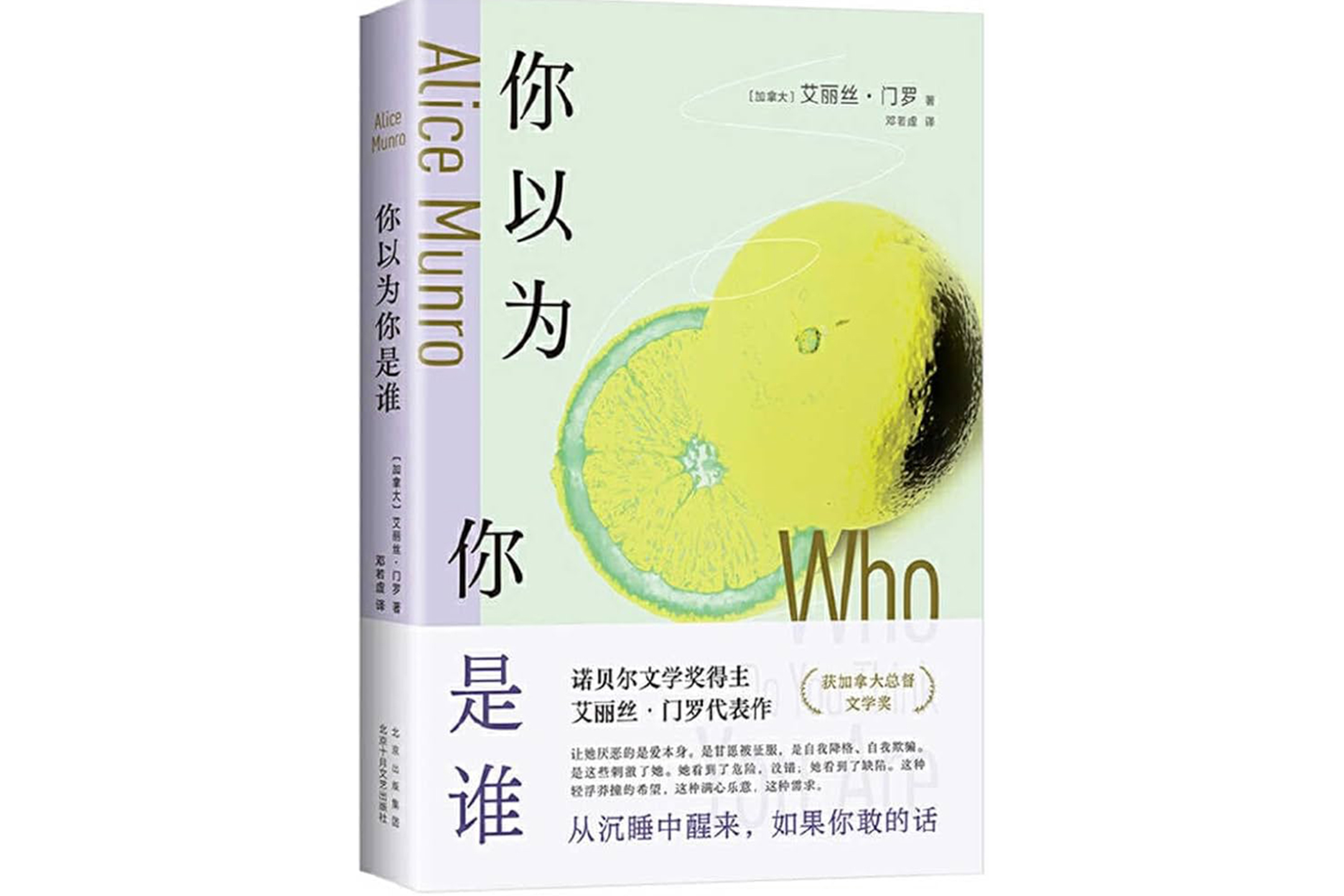 孟若小說集《你以為你是誰》(Who Do You Think You Are?)。圖:網上圖片