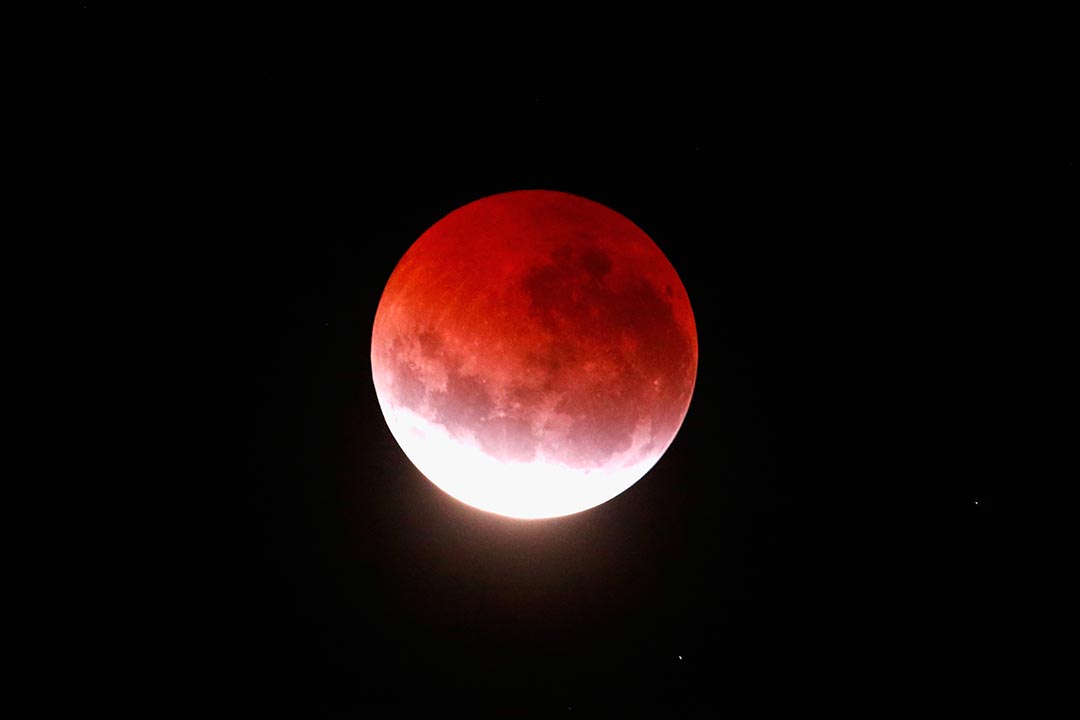 2015年4月4日,在新西蘭上空亮起紅色月亮。攝:Phil Walter/Getty Images