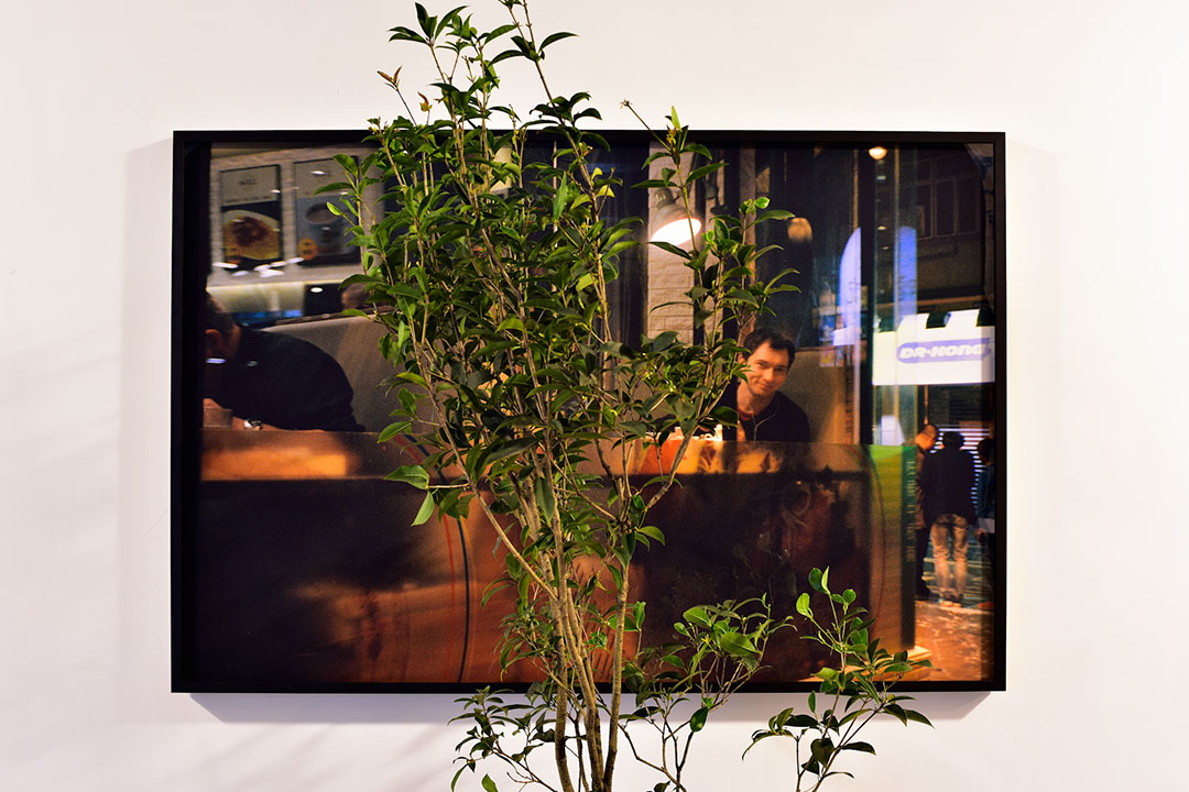 《遊園:不太容易做綠色》個人展覽作品之一《The enigma》。圖片由藝術家提供