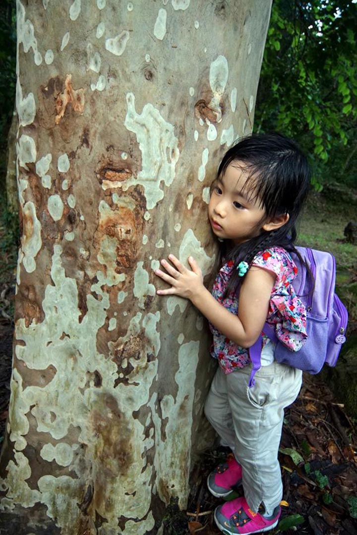 孩子這回「聽樹」能聽出什麼?就是大自然的呼喚聲。相片由綠腳丫提供