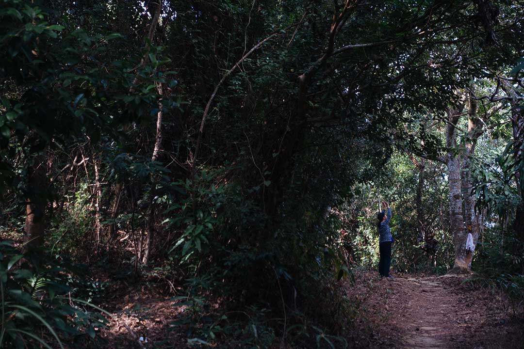 粉岭火车站旁边的蝴蝶山，长者晨运的好地点。摄：卢翊铭/端传媒