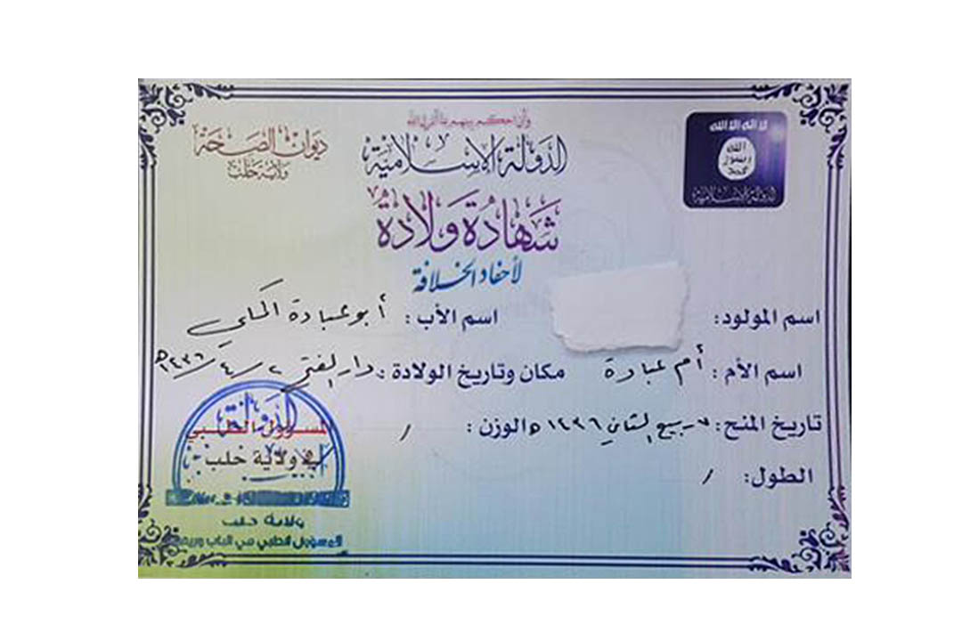 2015年1月阿勒颇(Allepo)Wilayat Halab地区新生儿出生证。图片来源:塔米米