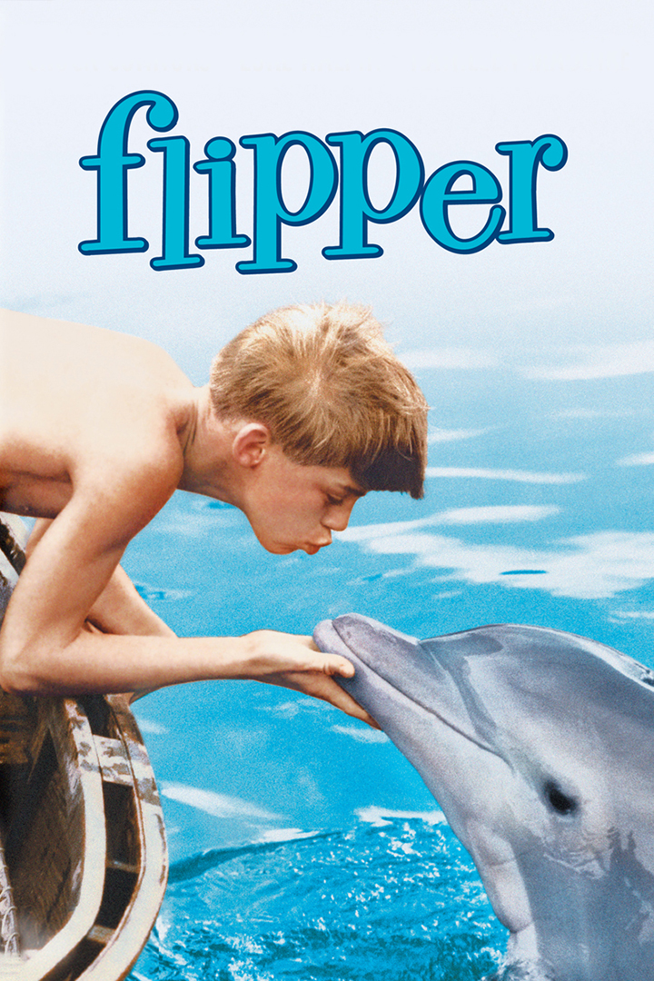 首部描绘海豚的电影 Flipper,其海报展现了其后被大量模仿的人和海豚相处的经典画面